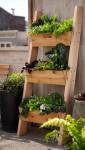 Aménagement d'un potager sur sa terrasse ou son balcon