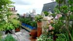 jardin en ville - terrasse - 