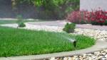 Vegetation