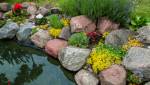 Aménager son jardin