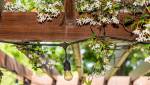 Une pergola en bois près de Tours.