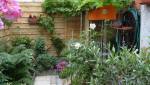 jardin en ville arbustes