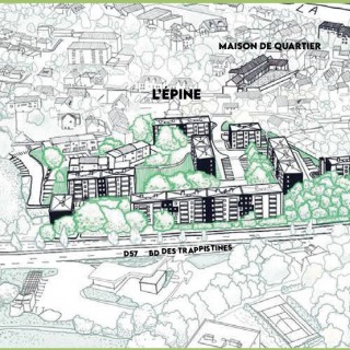 letenneur-img
