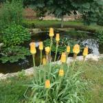 oasis jardin landerneau