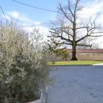 Revêtement de sol extérieur en pavés de pierre naturelle pour cour carrossable - Montauban 82