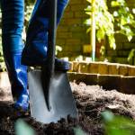 jardin potager arrosage économique et écologique