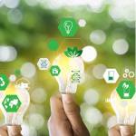  La rénovation écologique : des solutions durables pour 2025 - Bayeux 14400