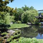 Créer une oasis dans son jardin