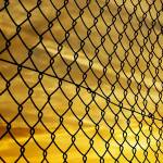 La rénovation de clôture mitoyenne est encadrée par la loi.