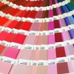 COULEURS ECOLOGIQUE 
