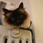 Choisir son mode de chauffage