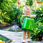 sécurisation du jardin enfants