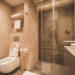 Les toilettes dans la salle de bain : nos conseils