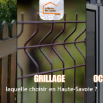 laquelle choisir en Haute-Savoie ?