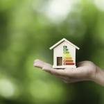 fibre de bois, chanvre, ouate de cellulose, quel intérêt environnemental pour les biosourcés ?