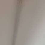 Trace d'humidité sur un mur intérieur - Nantes 44