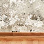 Remontées capillaire mur