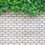 cloture de jardin