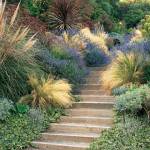 escalier de jardin