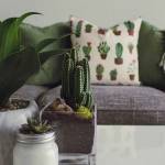 Avoir un petit salon - Canchy 14230