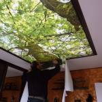 Plafond tendu rétro éclairage motif forêt