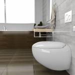 WC suspendus forme oeuf