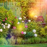 Rénovation de jardin