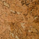 sol liege landerneau