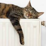 choisir son radiateur