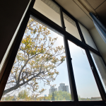 Coefficient thermique d’une fenêtre Poissy