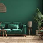 Rénovation en douceur dans le nord à Lille et dans la métropole lilloise