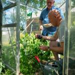 Serre de jardin