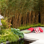 Créer un jardin japonais Amiens