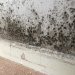 Remontée capillaire mur Poissy