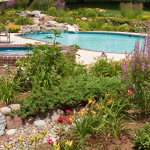 Créer un oasis dans son jardin à Montbrison