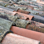 Tuiles avant entretien - couvreur 77, maçon 77, charpentier 77, auditeur énergétique 77, étanchéiste 77, architecte 77, bureau d'étude 77