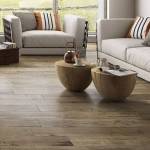 rénovation des sols