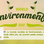 Audit énergétique à Agen : identifiez les priorités de votre rénovation durable avec La Maison Des Travaux – Agence d’Agen.