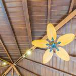 Un plafond cathédrale ou voûté