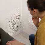 humidité mur habitat - La Maison Des Travaux