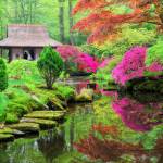 jardin japonais