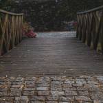 Travaux allée jardin Chantilly