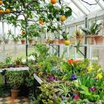 installer une serre de jardin 