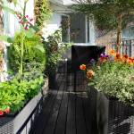 Aménager son balcon à Paris 8