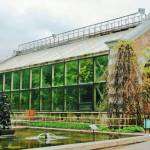 Rénover une serre de jardin : nos conseils