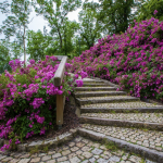 creer-allee-jardin-albi