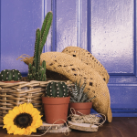 association-couleurs-decoration-albi-tarn