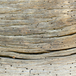 Bois abimé 