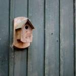 Focus sur la maison en bois par La Maison Des Travaux Nantes Ouest Saint Herblain