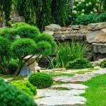jardin japonais Salon-de-Provence